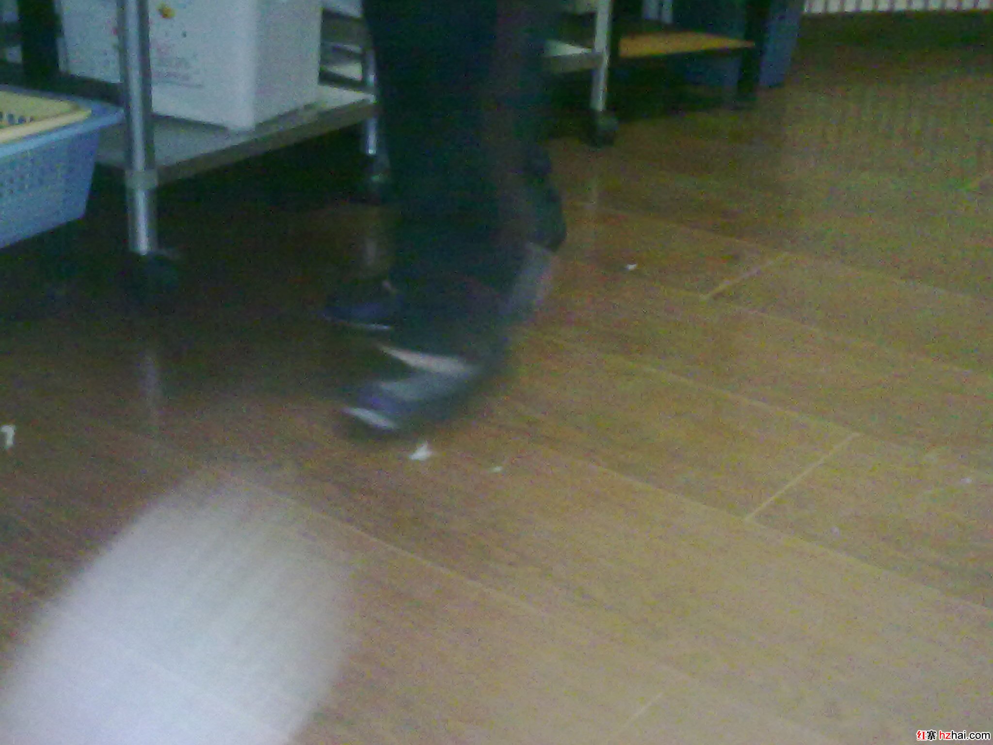 20110425182.jpg