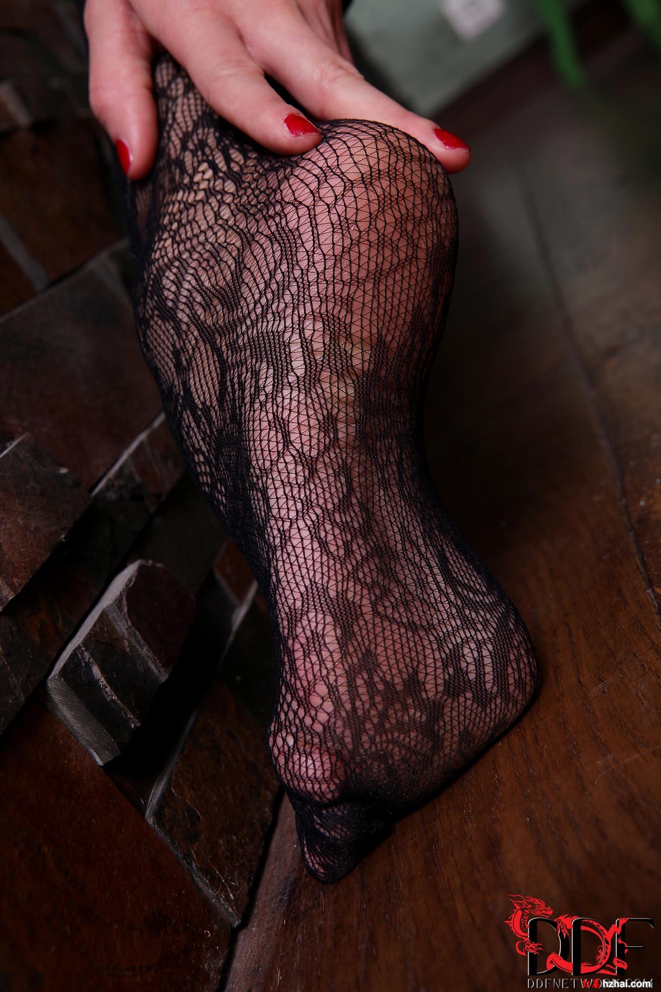 51314_l_69.jpg