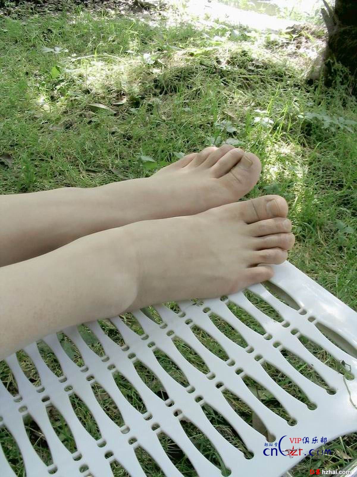 34.jpg
