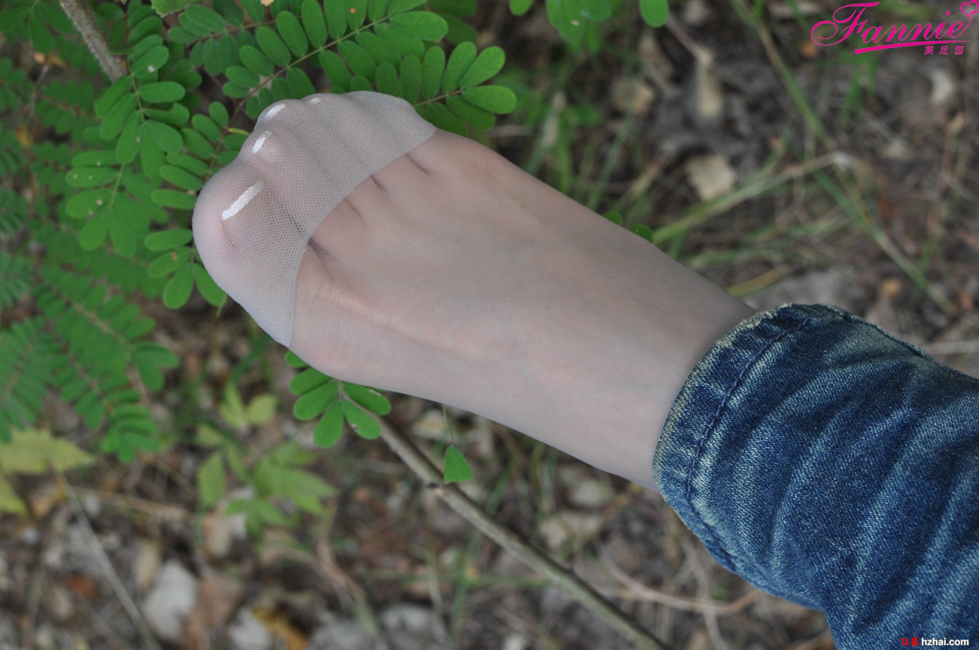 DSC_0204.jpg