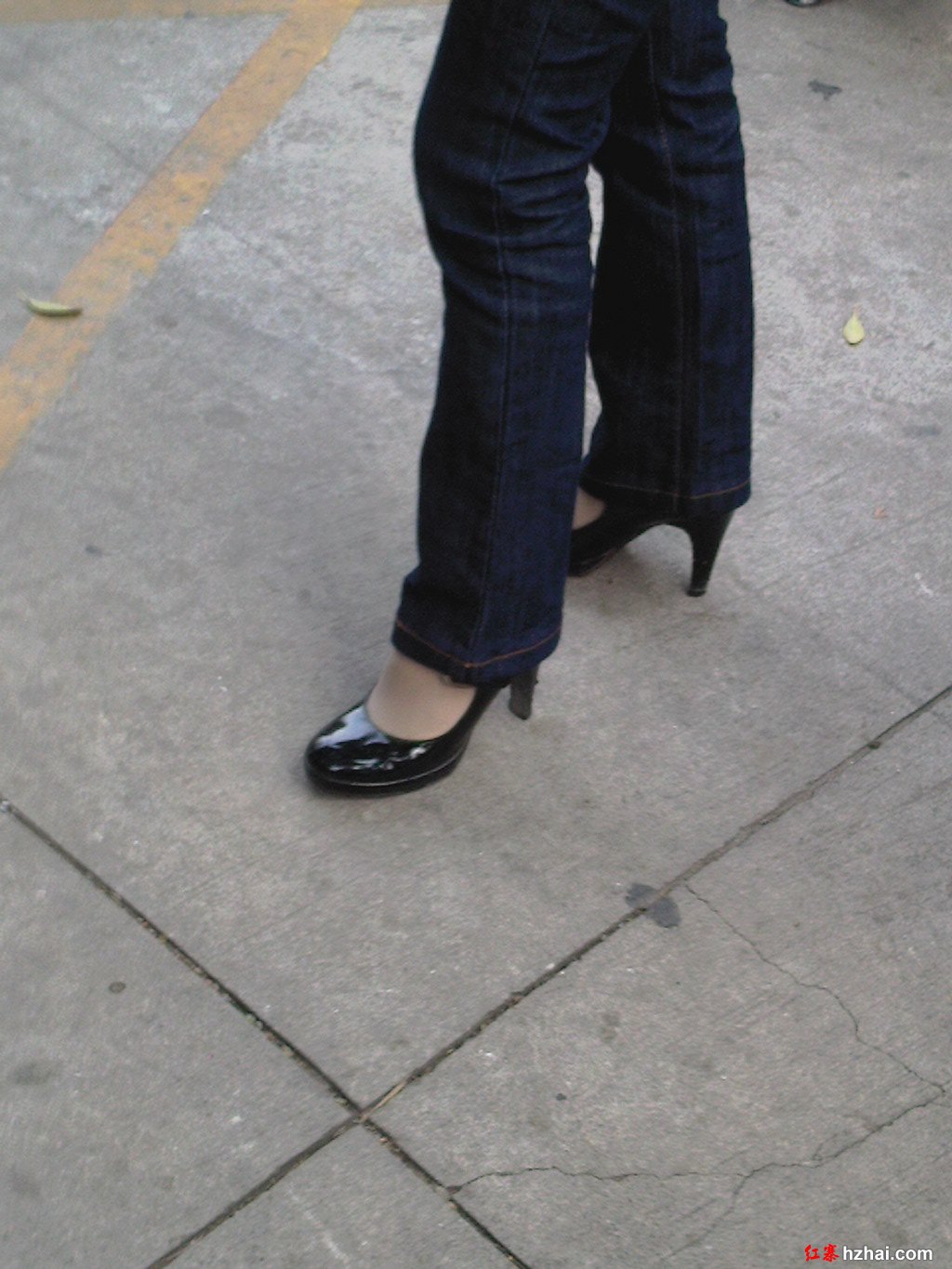 SJTP0087.jpg