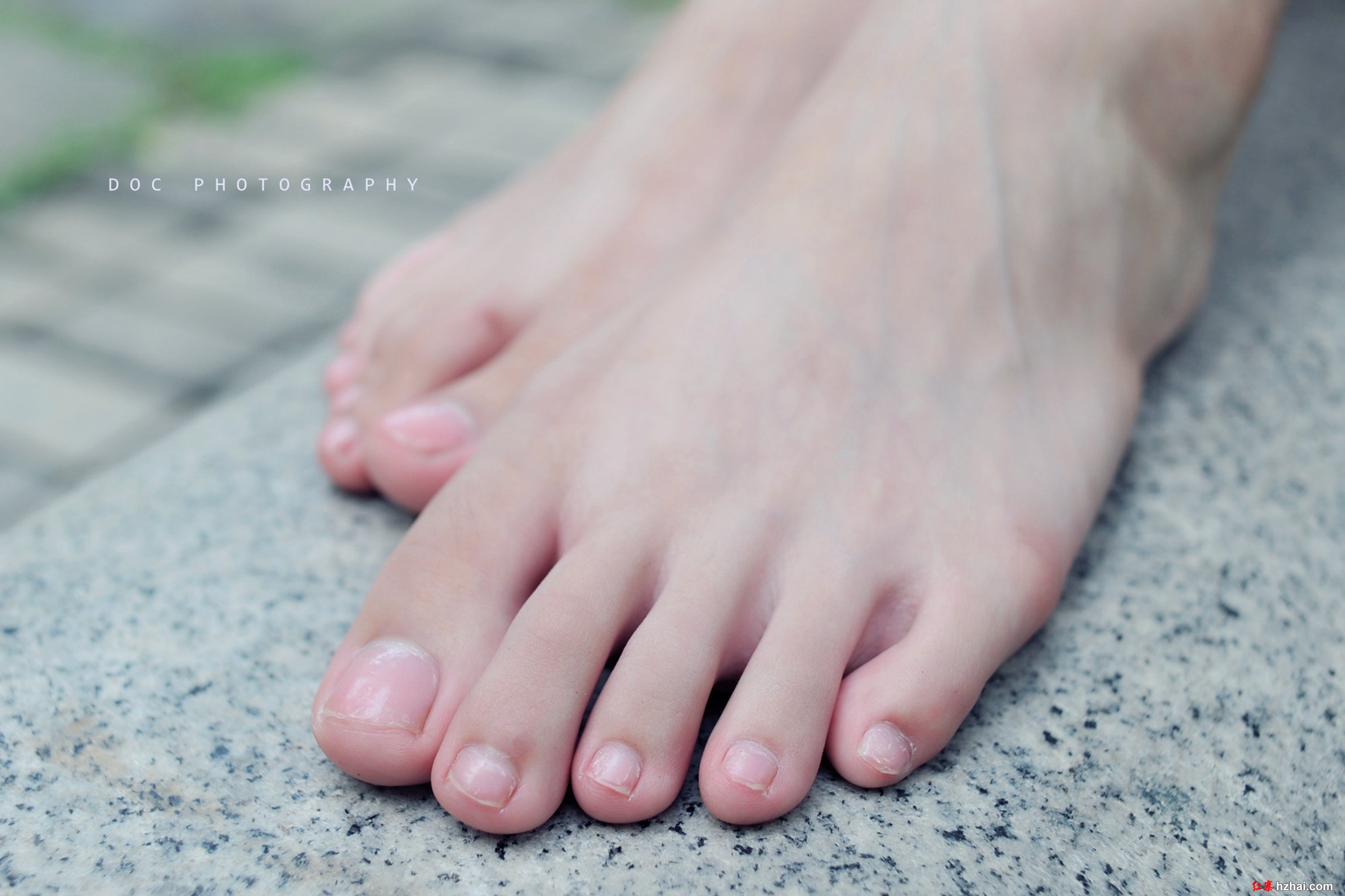15dsc_2169_副本2.jpg