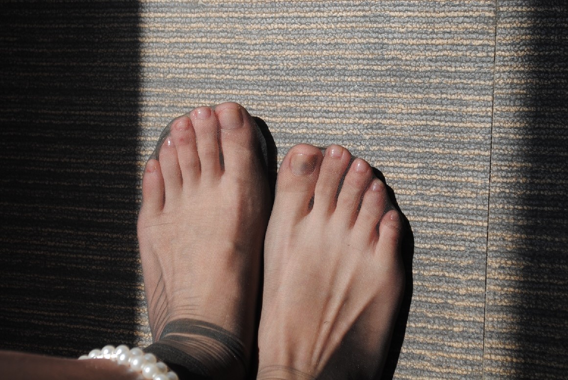 aaaBull_DSC_0570.JPG