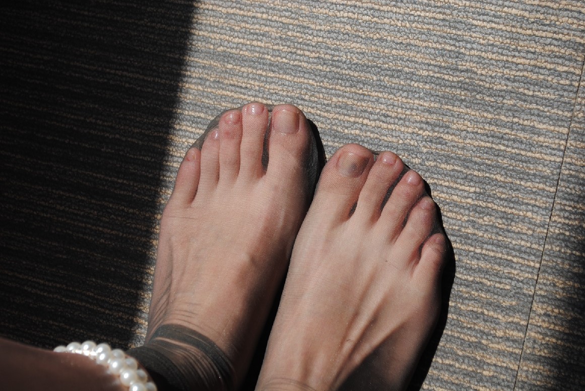 aaaBull_DSC_0572.JPG
